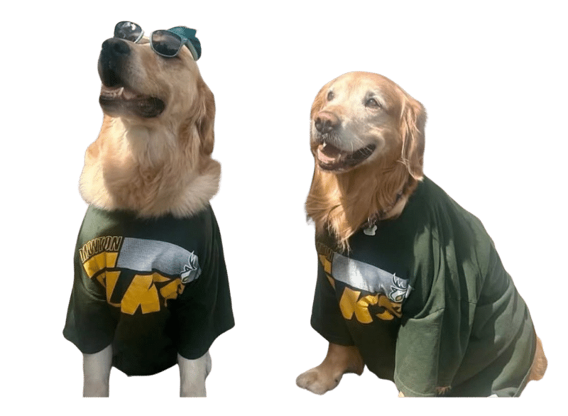 Puppies ready for the big game!